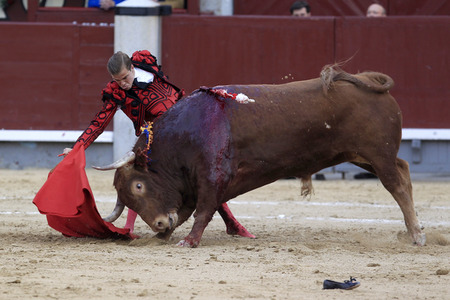 Goyesca Stierkamp in Madrid