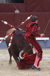 Goyesca Stierkamp in Madrid