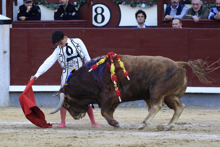 Goyesca Stierkamp in Madrid
