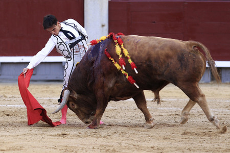 Goyesca Stierkamp in Madrid
