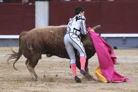Goyesca Stierkamp in Madrid