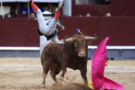 Goyesca Stierkamp in Madrid