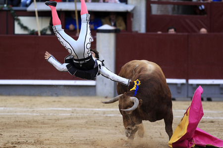 Goyesca Stierkamp in Madrid