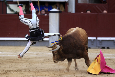 Goyesca Stierkamp in Madrid