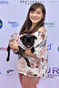 3. World Dog Day in West Hollywood