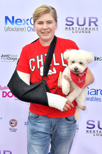 3. World Dog Day in West Hollywood