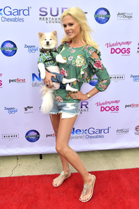 3. World Dog Day in West Hollywood
