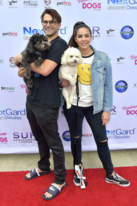 3. World Dog Day in West Hollywood