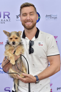 3. World Dog Day in West Hollywood
