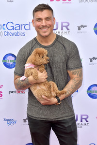 3. World Dog Day in West Hollywood