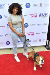 3. World Dog Day in West Hollywood