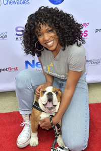 3. World Dog Day in West Hollywood