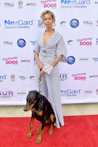 3. World Dog Day in West Hollywood