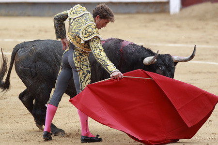 San Isidro Stierkampf Festival in Madrid