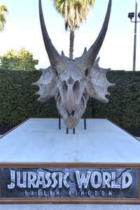 Filmpremiere 'Jurassic World: Das gefallene Königreich' in Los Angeles
