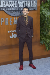 Filmpremiere 'Jurassic World: Das gefallene Königreich' in Los Angeles