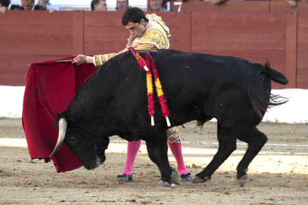 Stierkamp in Torrejón de Ardoz