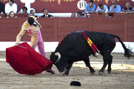 Stierkamp in Torrejón de Ardoz