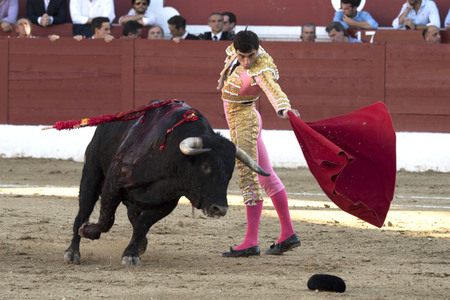 Stierkamp in Torrejón de Ardoz