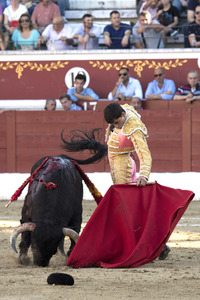 Stierkamp in Torrejón de Ardoz