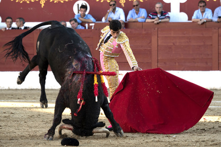 Stierkamp in Torrejón de Ardoz