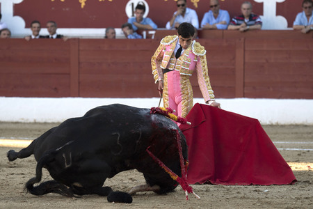 Stierkamp in Torrejón de Ardoz