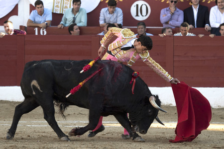 Stierkamp in Torrejón de Ardoz
