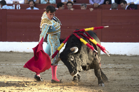 Stierkamp in Torrejón de Ardoz