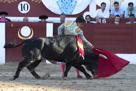 Stierkamp in Torrejón de Ardoz