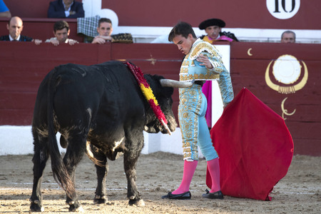 Stierkamp in Torrejón de Ardoz