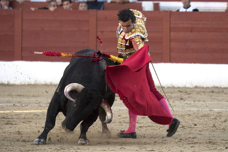 Stierkamp in Torrejón de Ardoz