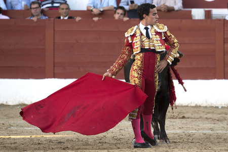 Stierkamp in Torrejón de Ardoz
