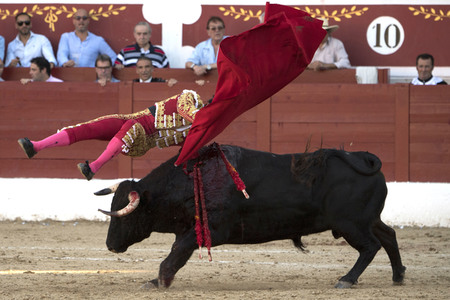 Stierkamp in Torrejón de Ardoz