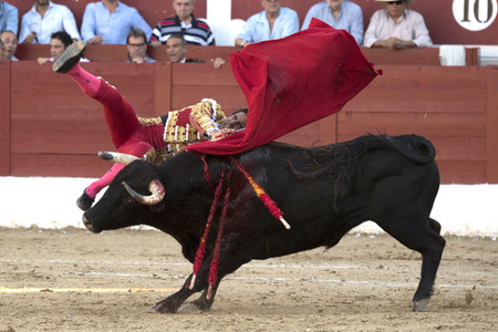 Stierkamp in Torrejón de Ardoz