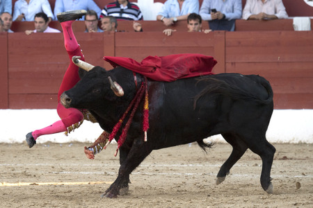 Stierkamp in Torrejón de Ardoz