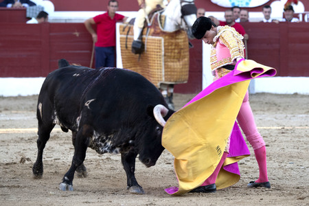 Stierkamp in Torrejón de Ardoz
