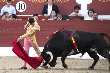 Stierkamp in Torrejón de Ardoz