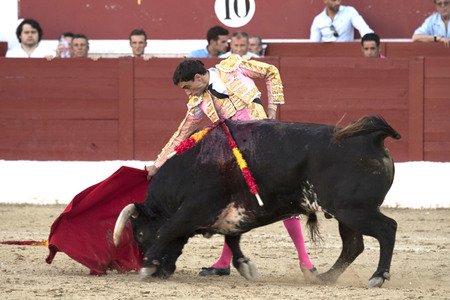 Stierkamp in Torrejón de Ardoz