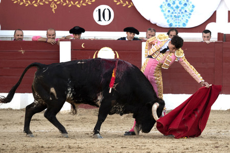 Stierkamp in Torrejón de Ardoz