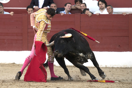 Stierkamp in Torrejón de Ardoz