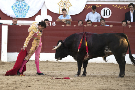 Stierkamp in Torrejón de Ardoz