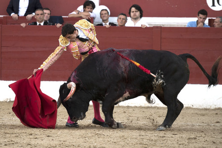 Stierkamp in Torrejón de Ardoz