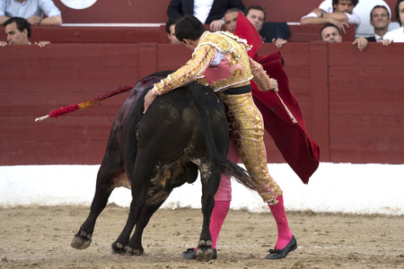 Stierkamp in Torrejón de Ardoz