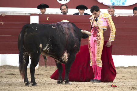 Stierkamp in Torrejón de Ardoz