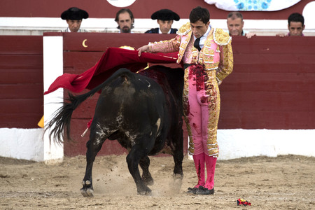 Stierkamp in Torrejón de Ardoz