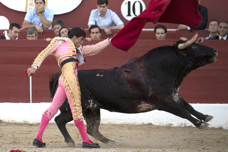 Stierkamp in Torrejón de Ardoz