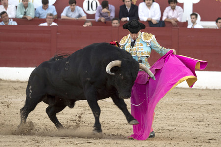 Stierkamp in Torrejón de Ardoz