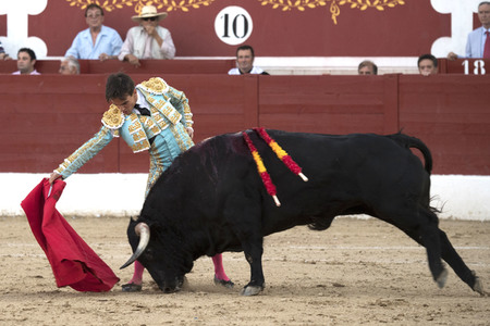 Stierkamp in Torrejón de Ardoz