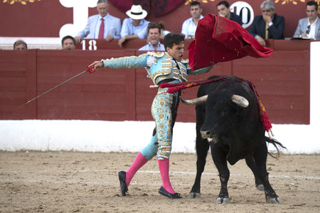 Stierkamp in Torrejón de Ardoz