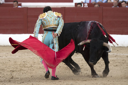 Stierkamp in Torrejón de Ardoz